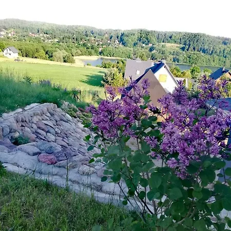 Easy Hill - Domek Na Kaszubach Z Sauna Pierszczewo Exterior foto